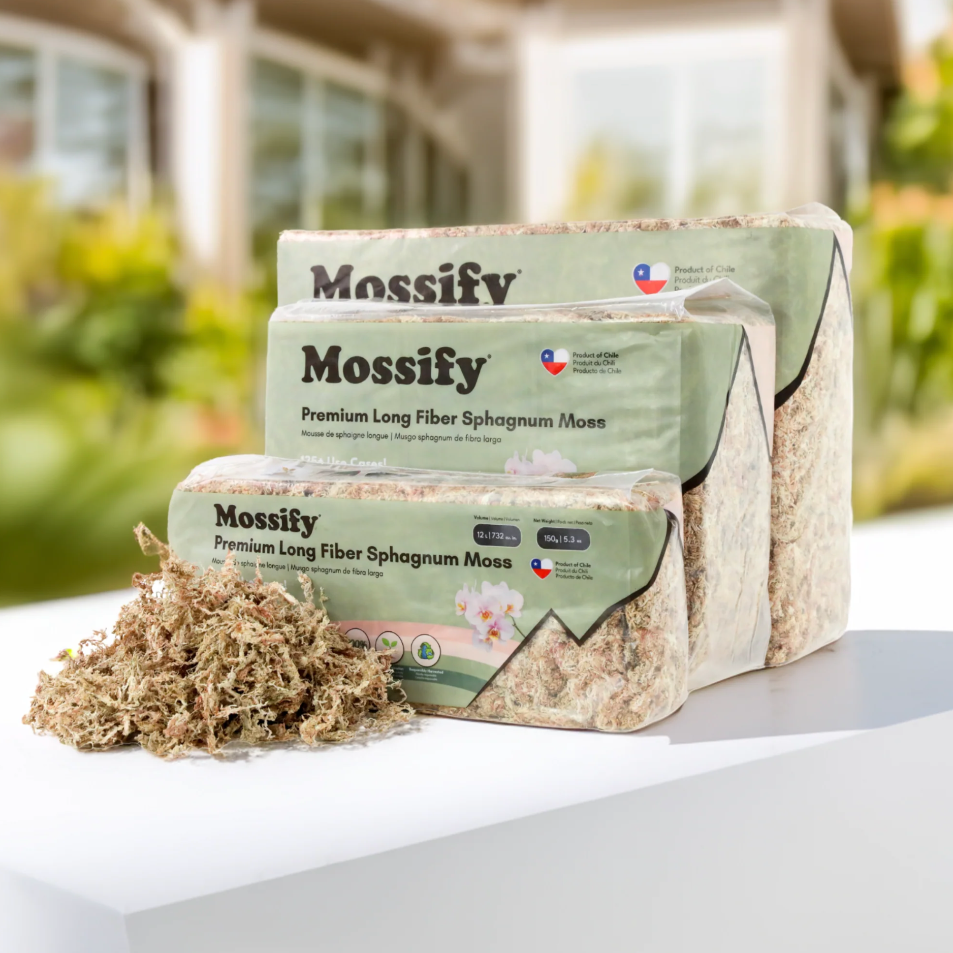 Premium Sphagnum Moss by Mossify 774
